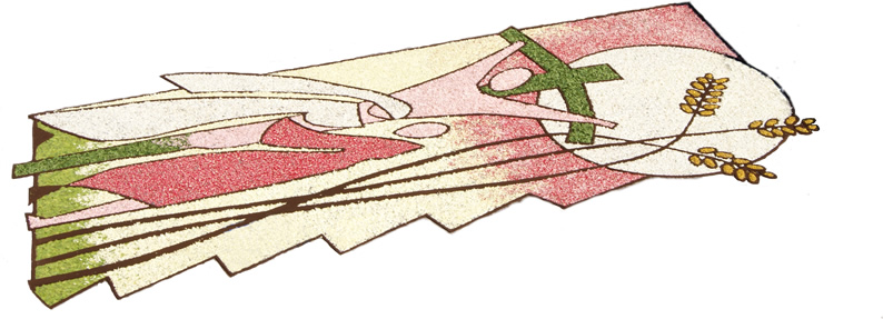 2011_Infiorata_1
