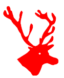 cervo_130x160