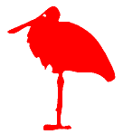 Cicogna
